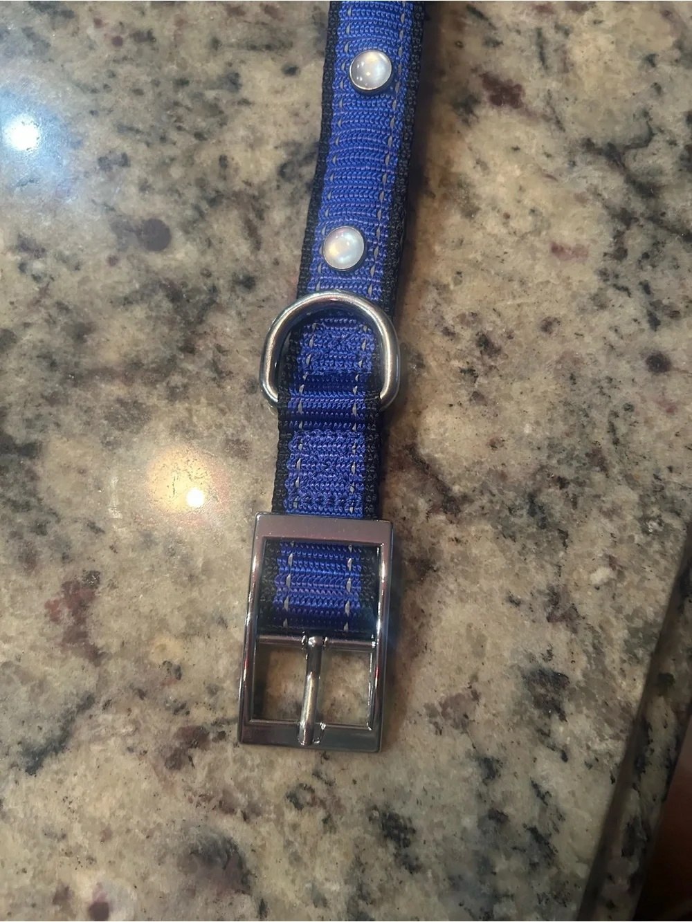 Blue LED Flash Reflective Dog Collar & Leash
